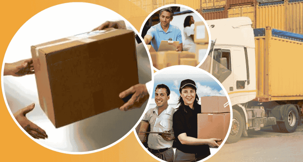 Service Provider of Domestic Courier & Cargo Services in New Delhi, Delhi, India.