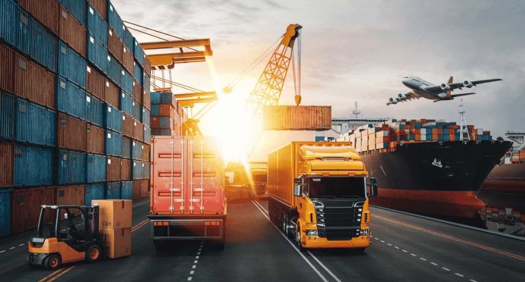 Service Provider of Import Courier Cargo Services in New Delhi, Delhi, India.